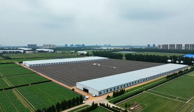 软件性能优化与适用场景的深度解析
